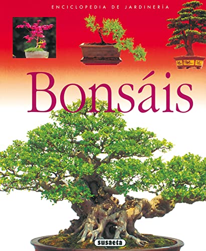 Mejor bonsai en 2024 [basado en 50 revisiones de expertos]