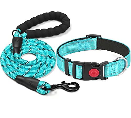 haapaw Collar de Perro Reflectante Acolchado con Neopreno Suave Collares de Perro de Nailon Ajustables Transpirables para Perros pequeños medianos Grandes