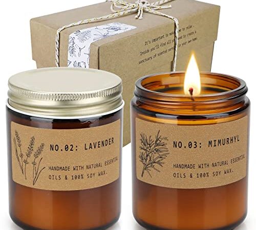 Velas Aromáticas en Frasco, Regalos Para Mujer, Lavanda & Musgo ámbar Serie, Velas Aromaticas Para Regalo 400 G, Tiempo de Combustión 100 H, Baño, Yoga, Alivio del Estrés, 2pcs